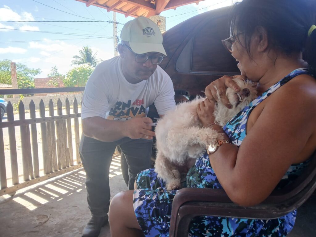 vacinação antirrábica cachorro branco
