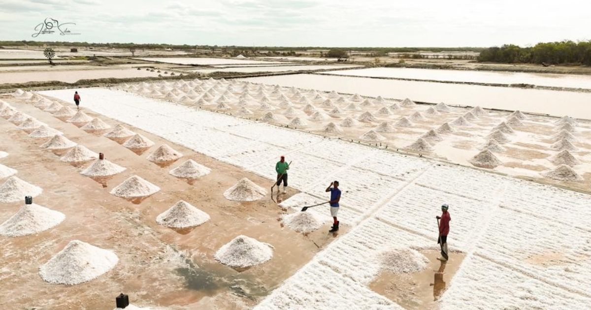 Prefeitura de Grossos entrega mais de 50 licenças ambientais a salineiros em parceria com Ecosafety e Sebrae