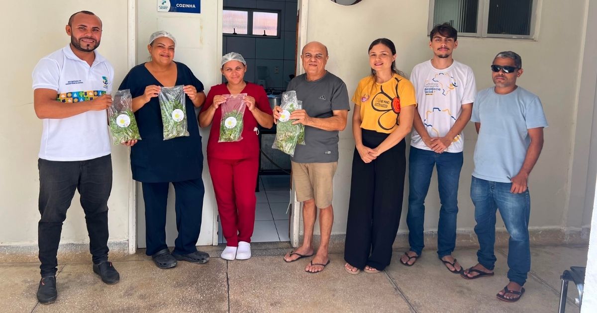 Primeira Colheita da Horta Comunitária do SCFV Beneficia Hospital Municipal Flaviana Jacinta
