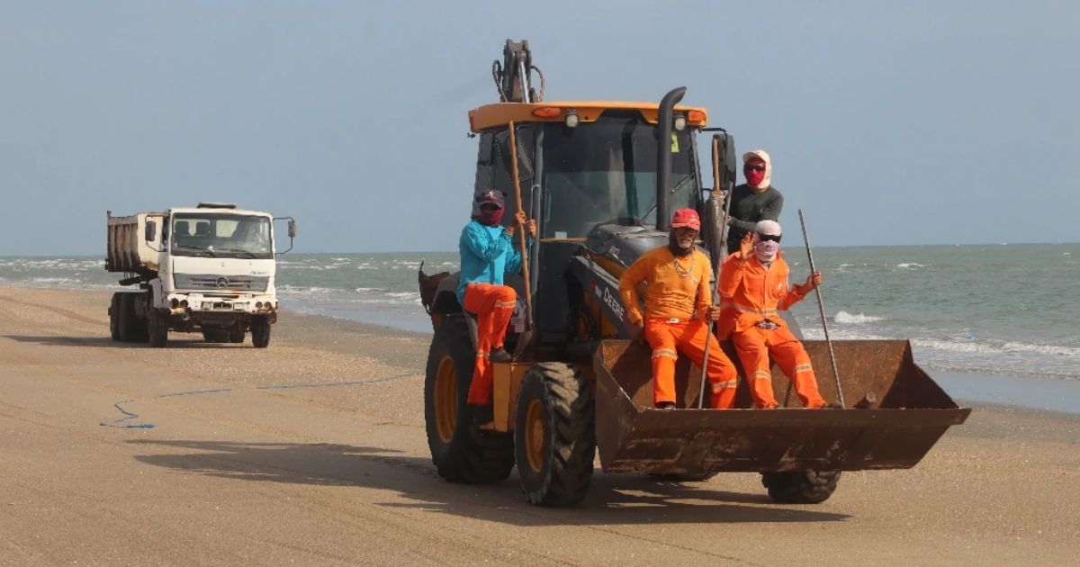 Prefeitura de Grossos promove Semana do Meio Ambiente com ações educativas e de conscientização ambiental