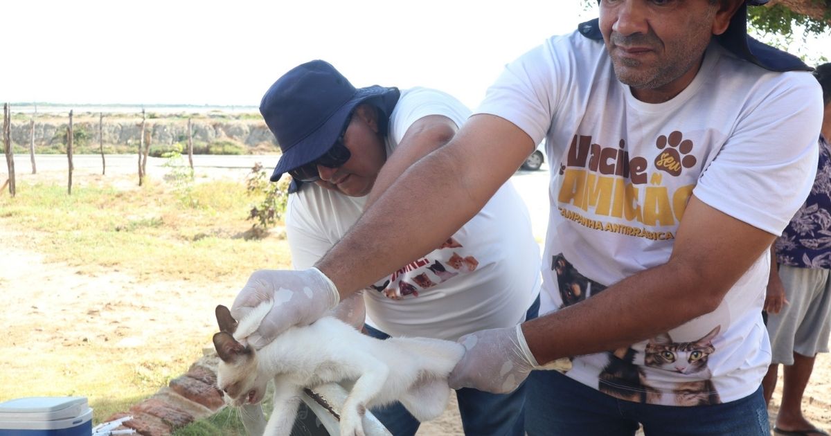 Vacinação antirrábica começou nesta terça-feira na zona urbana de Grossos