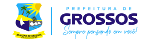 cropped-BRASAO-GROSSOS-2023-2.png